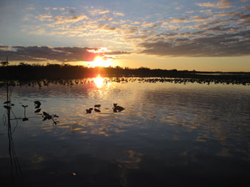 Florida-1-sunset.jpg