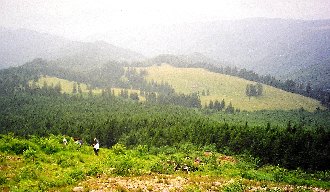 Carpathians.JPG