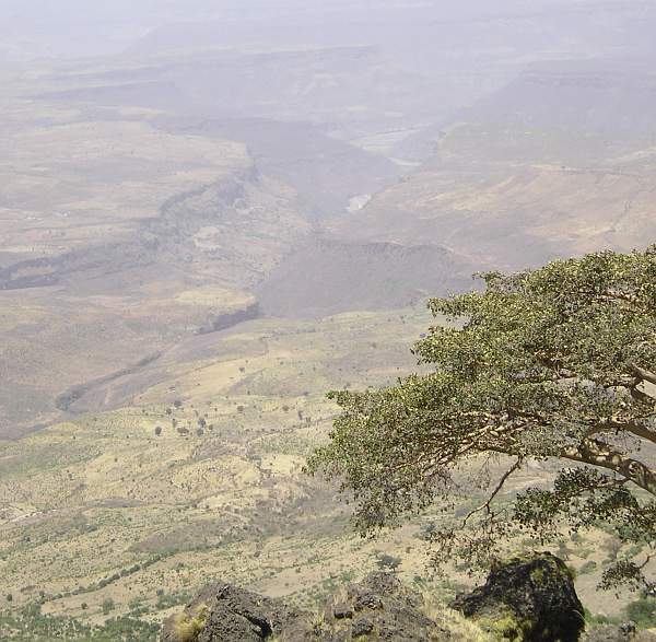 debre3.jpg