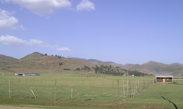 debre4.jpg