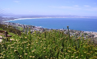 hermanus2013.jpg