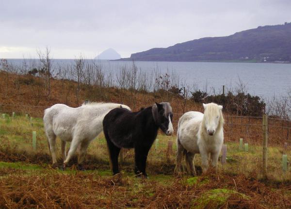 holyisle23.jpg