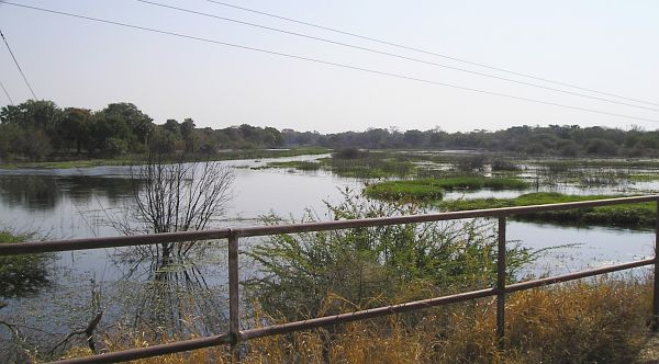 maun16.jpg