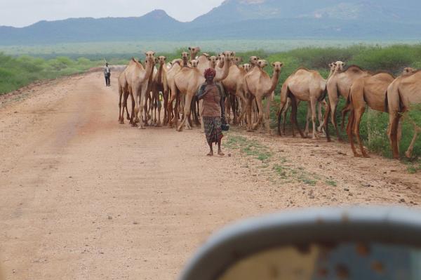 moyale2301.JPG