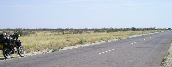 namibia313.jpg