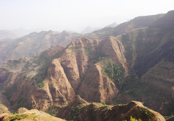 simien3.JPG