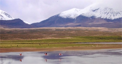 02-Chile-altiplano.JPG