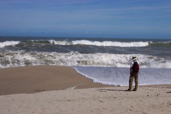 7_scotts_beach.jpg