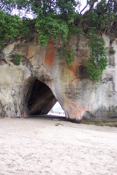 cathedral_cove.jpg