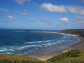 catlins_coast.jpg