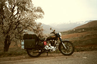 Blossom in the Alborz mountains