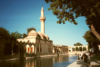 Rose-scented Sanliurfa