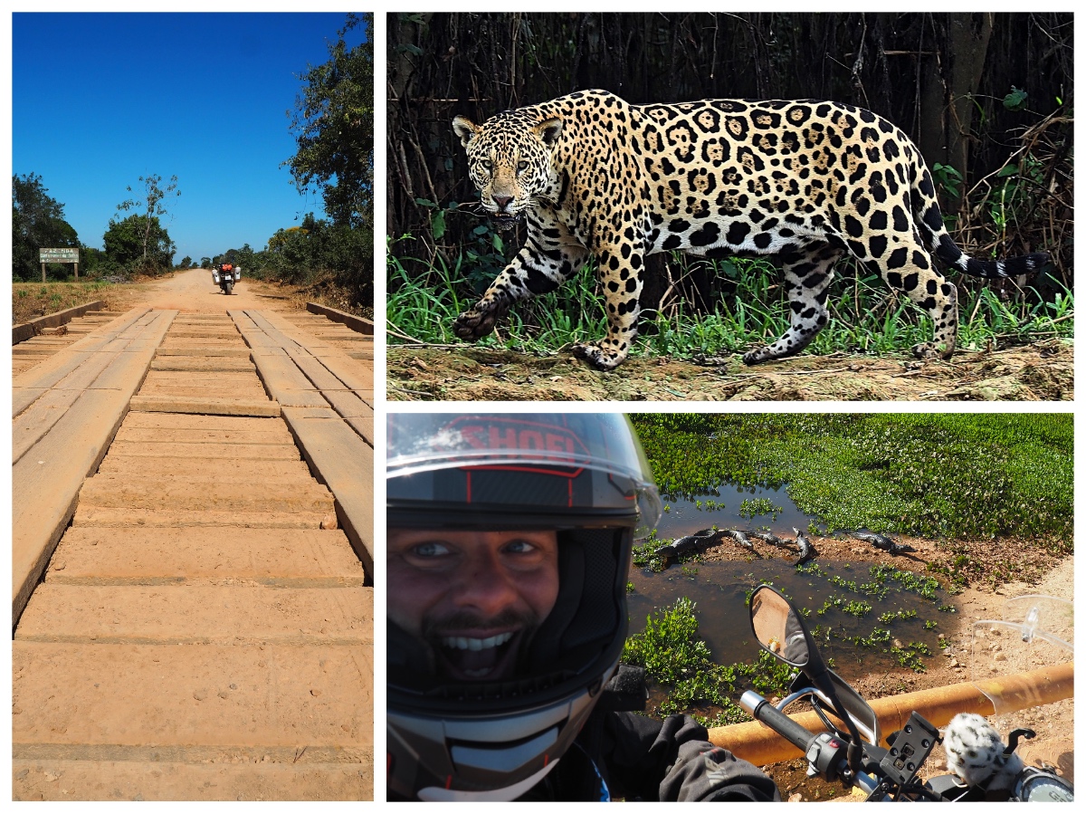 Transpantaneira // Pantanal, Brazil