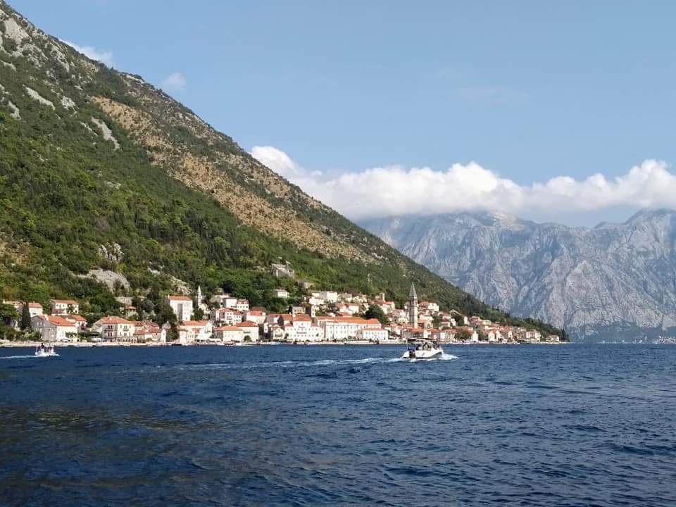 Kotor