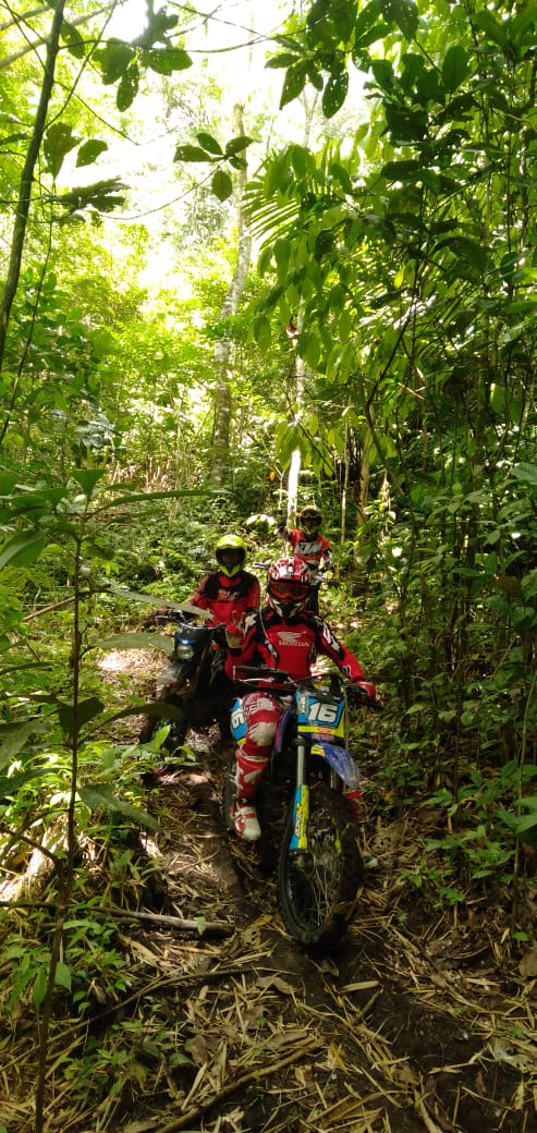 Jungle trails