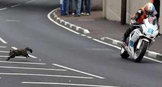 North West 200 - Road Racing Circuit