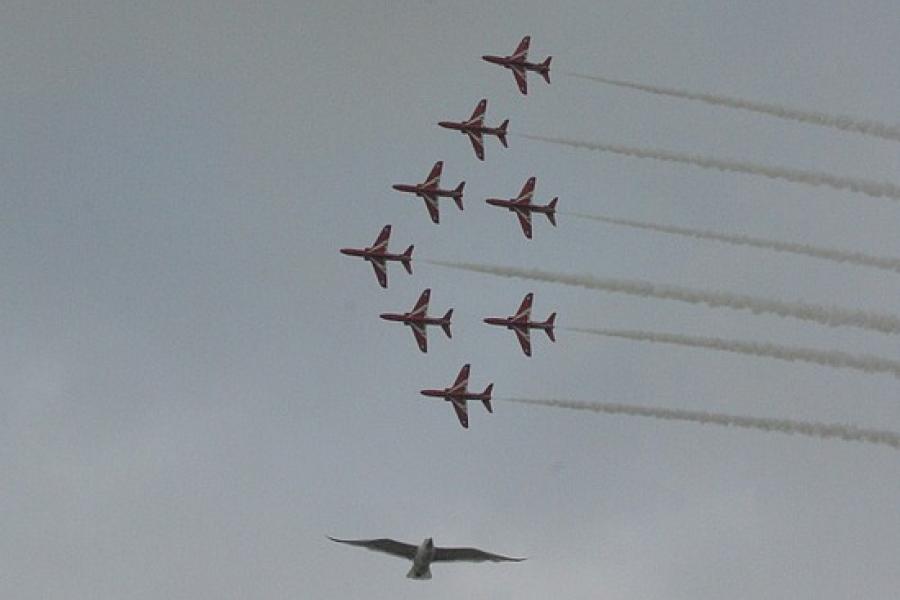 Red Arrows try to do as well as a gull