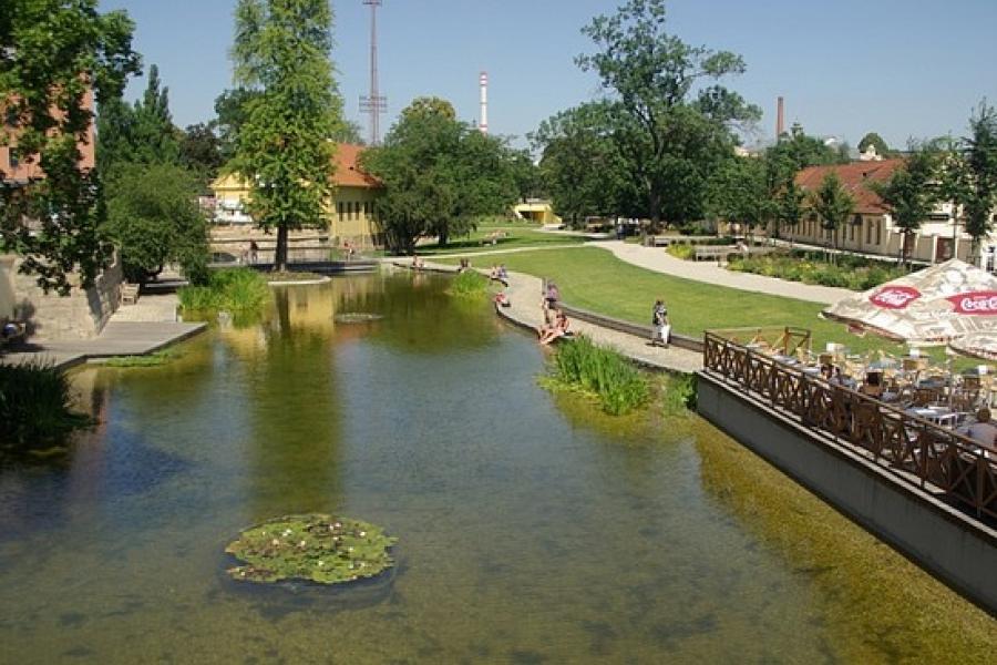 The City park in Pizen had huge carp