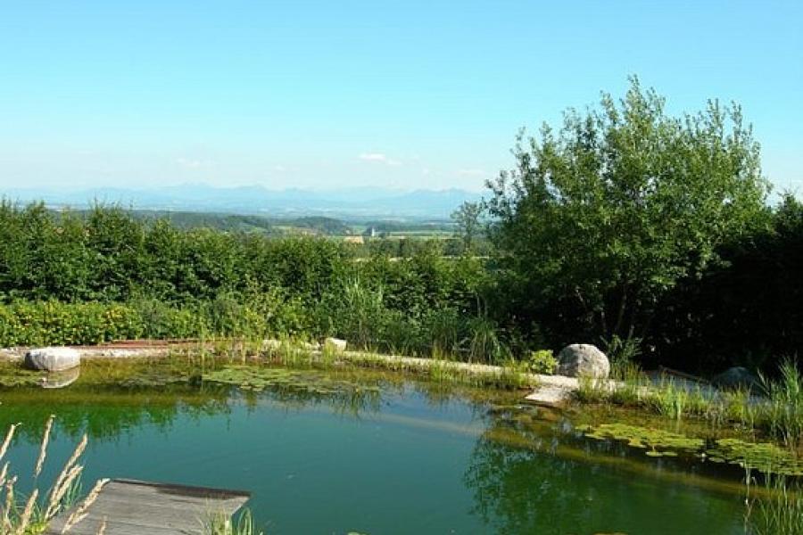 The swimming pond at Alois and Andrea's house