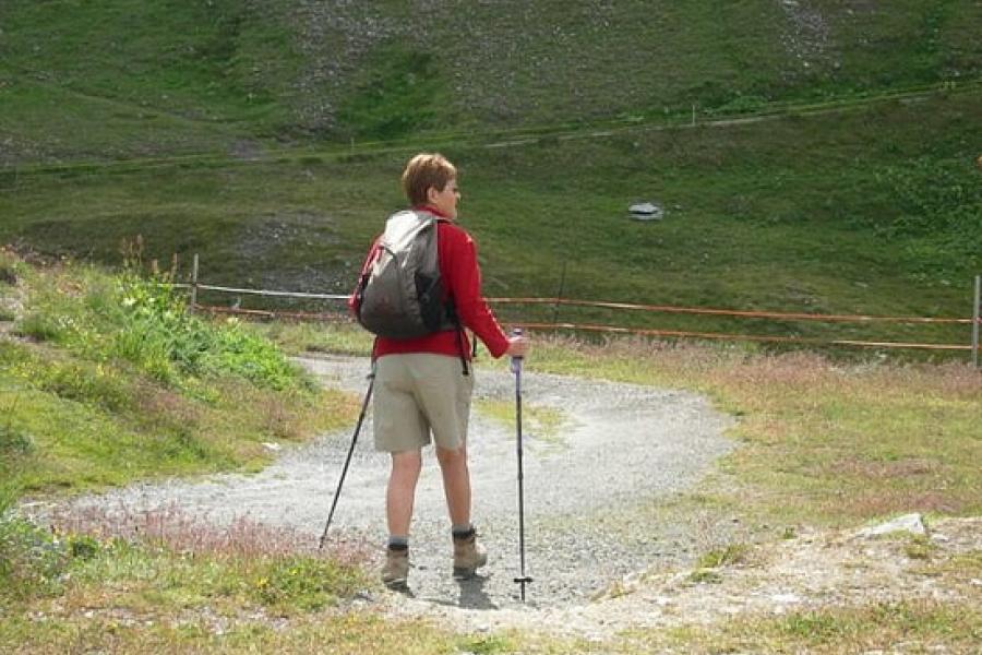 Taking the sticks for a walk