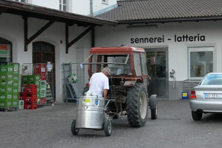 Evening milk delivery to the small town dairy