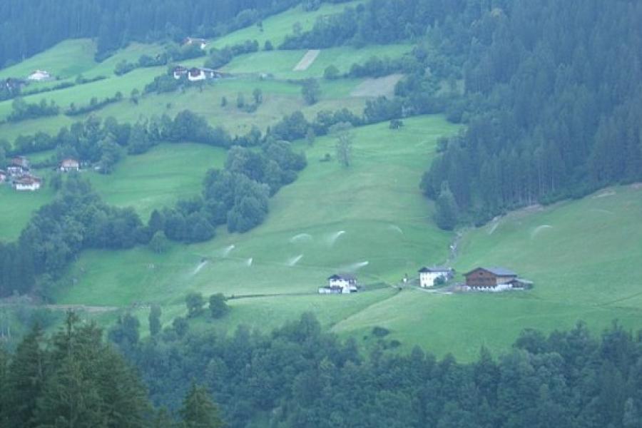 Irrigation for hay