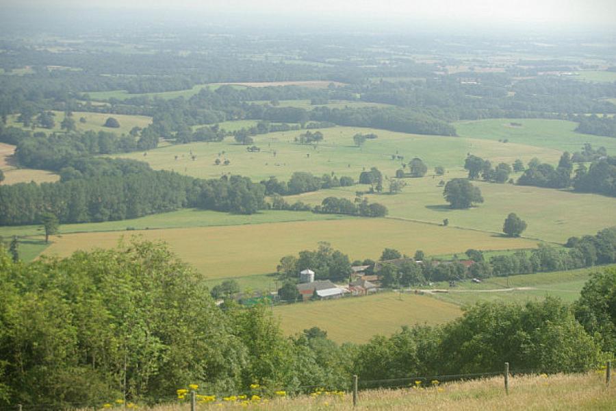 South Downs Way