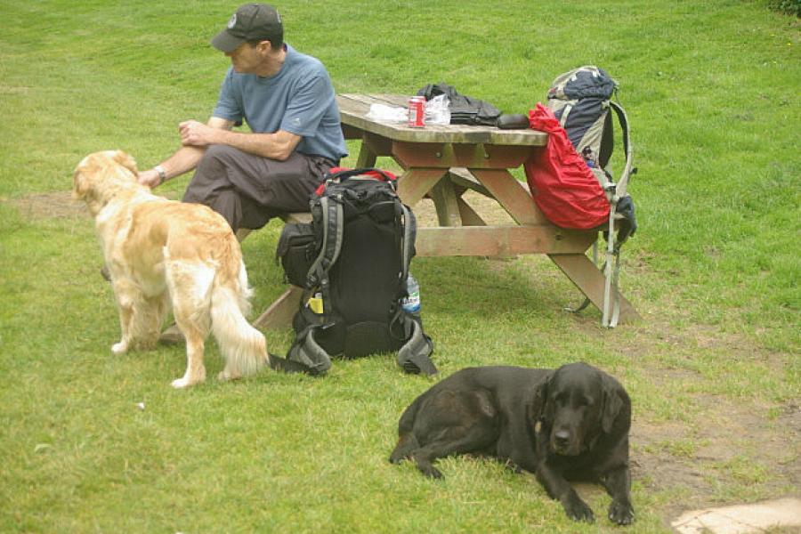 Meeting the locals on the South Downs Way