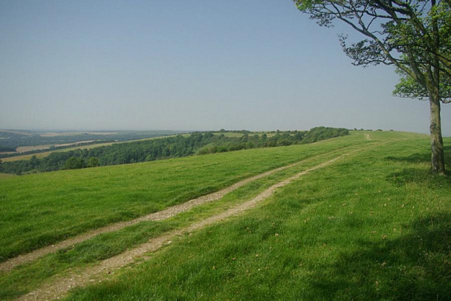 South Downs Way