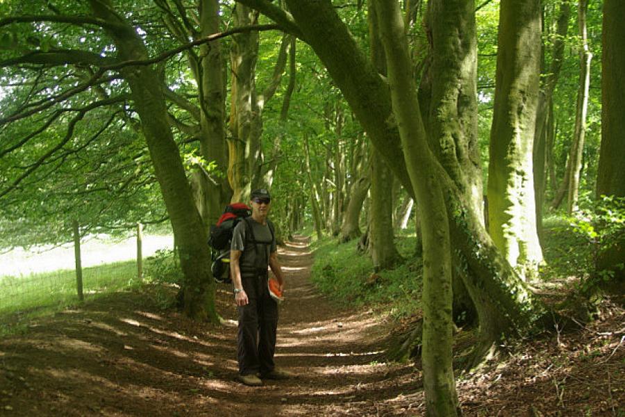 South Downs Way