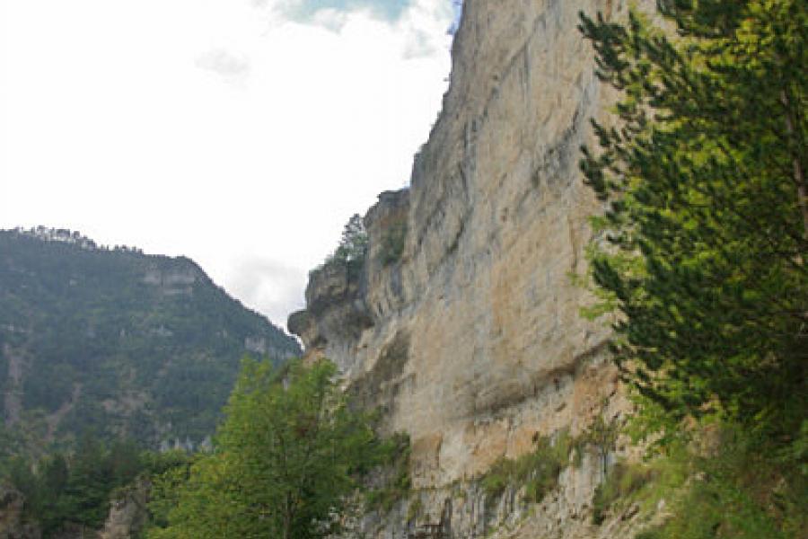 Gorges du Tarn