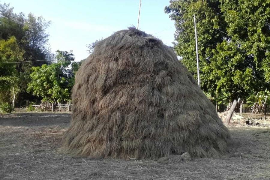 Monet's haystack