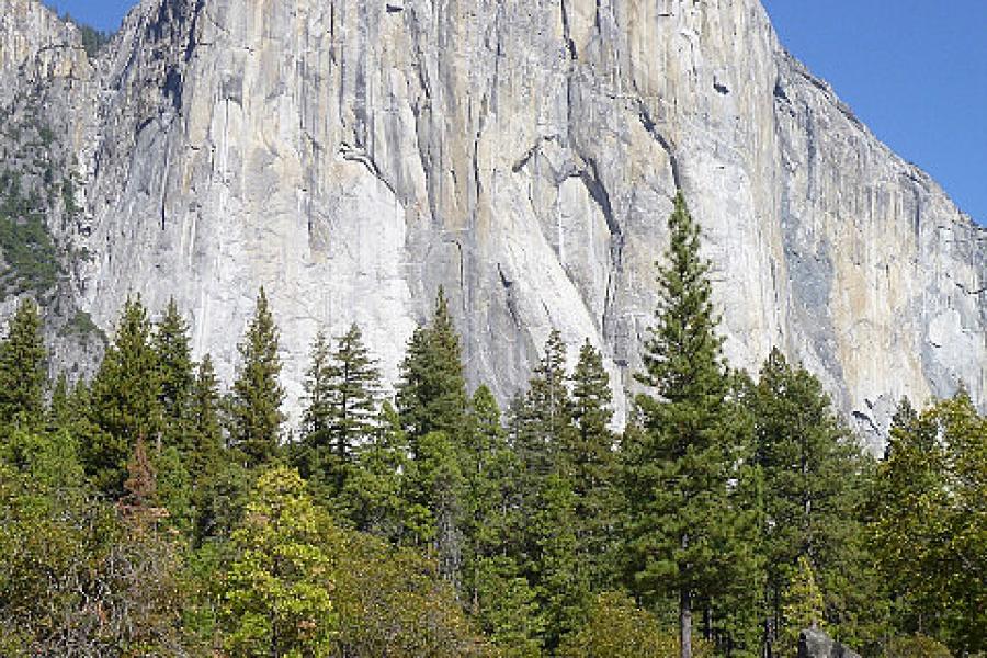 Yosemite National Park 2