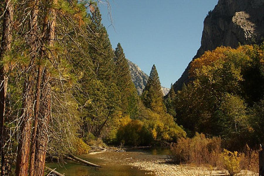 Picnic spot on the road in King's Canyon NP