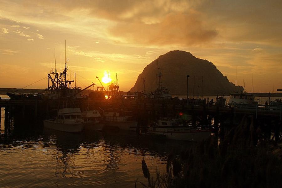 Morro Rock, climbing allowed!