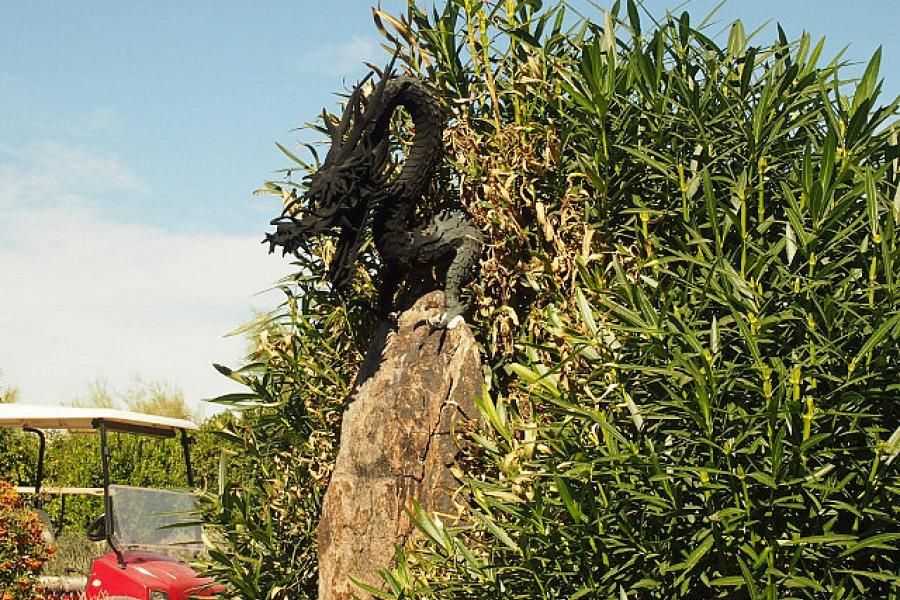 A dragon in the garden at Taliesin AZ