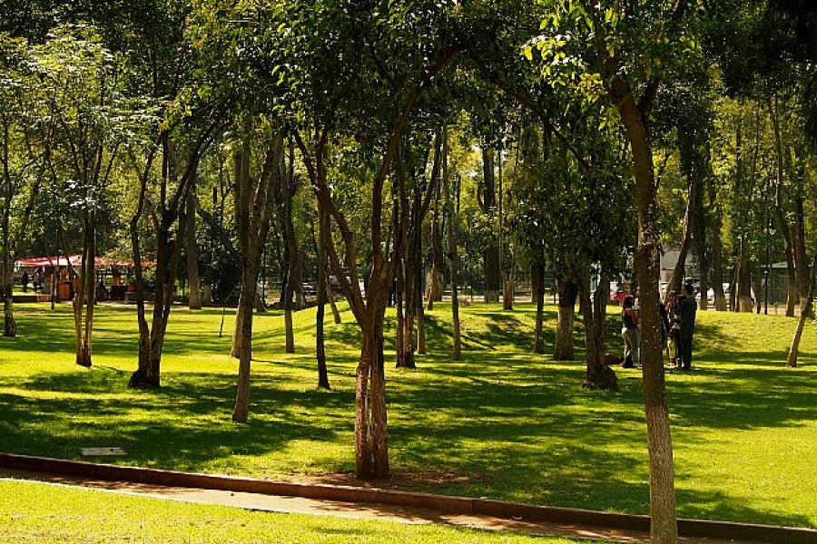 Morelia has well maintained parks