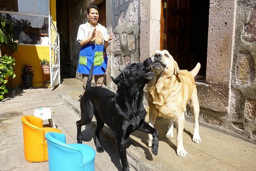 Morelia, residents at a family run cafe