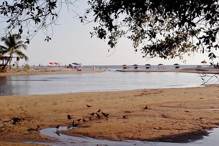 Estuary at Puerto Escondido