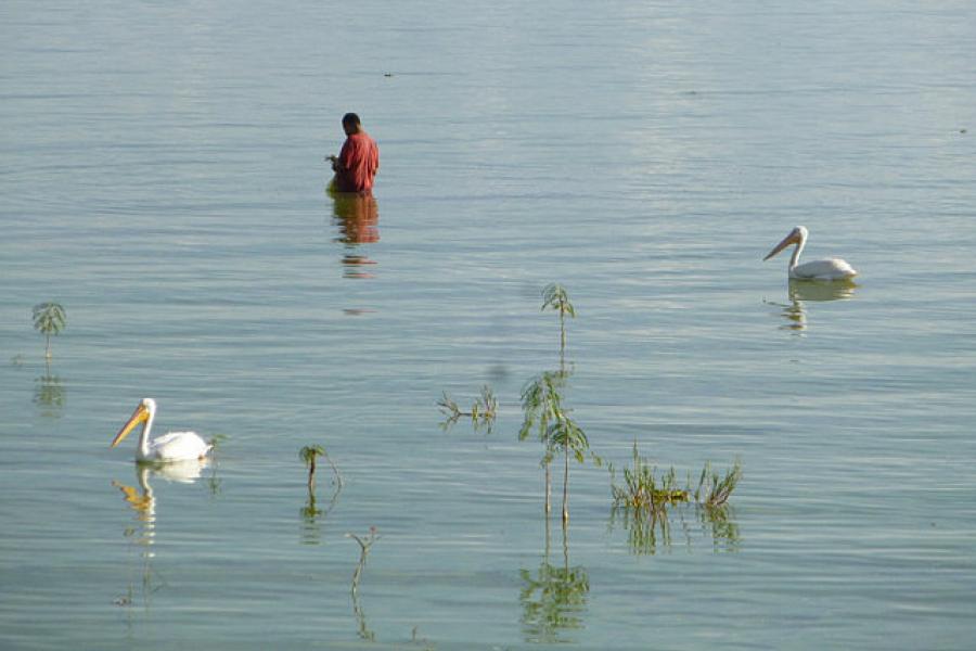 Fisherman at Lake Chapala