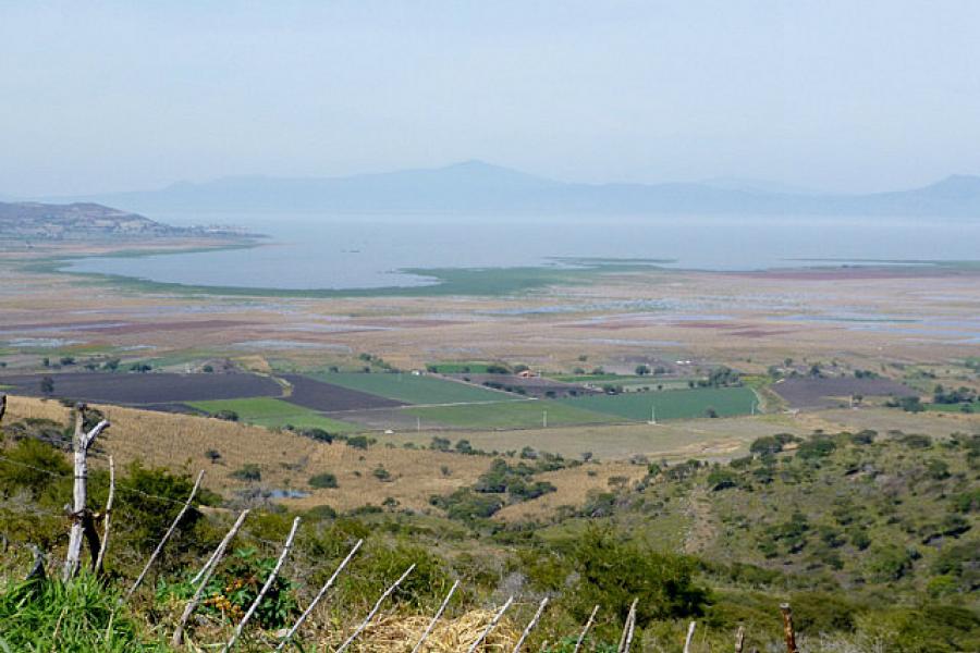 Lake Chapala from the south bank