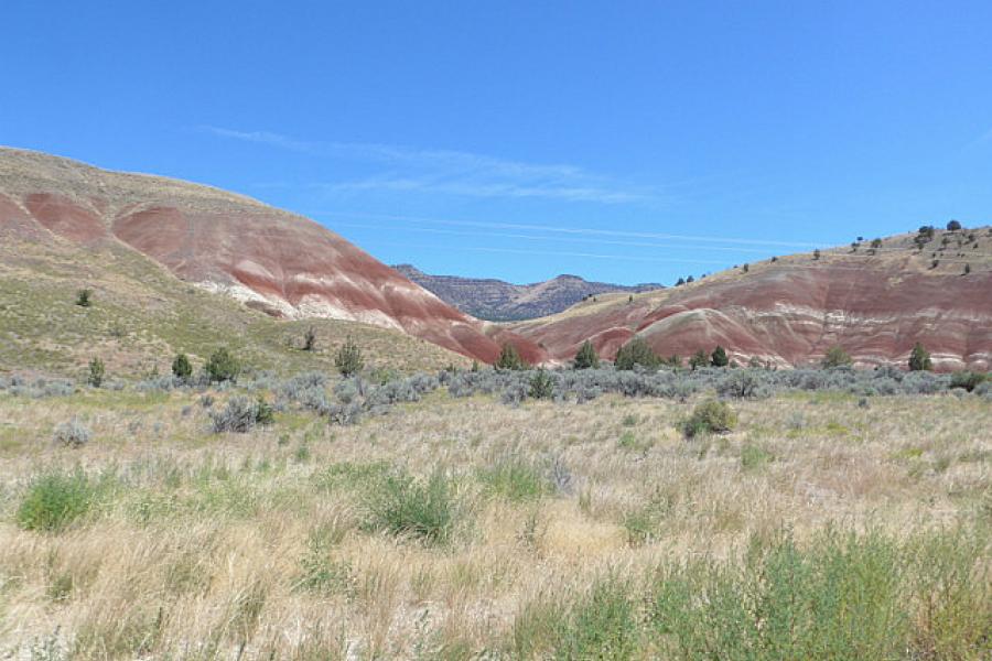 Near the John Day Fossil Beds