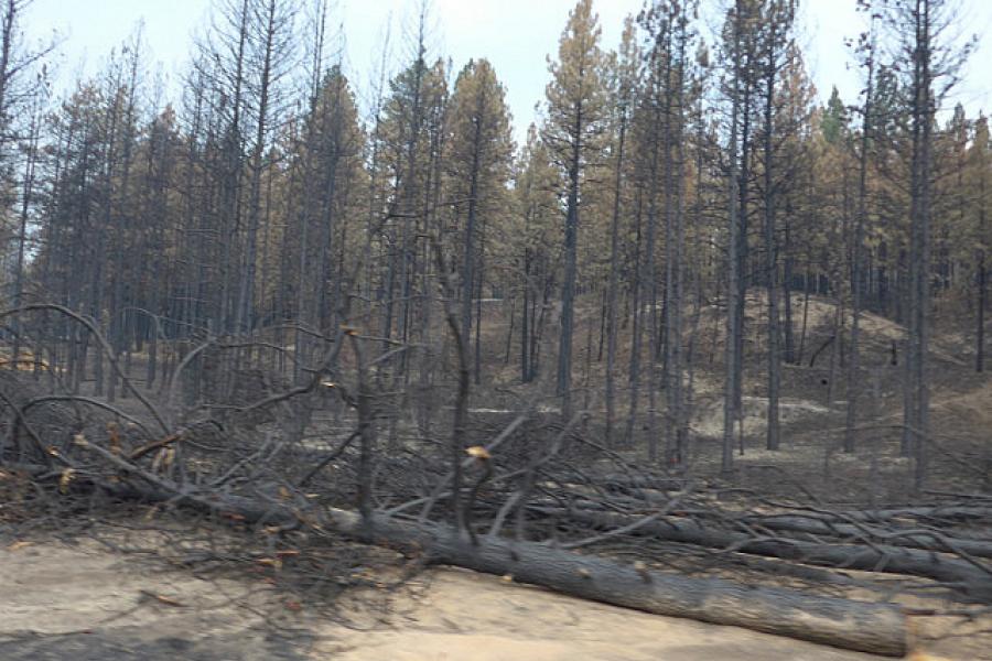 More forrest fires across the Cascade Mountains