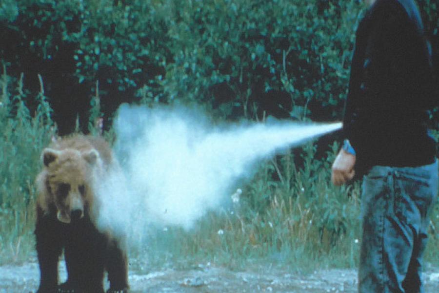 Bear Spray, spray the bear, then run like hell