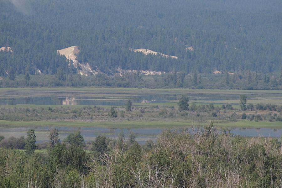 The Columbia River Wet Lands