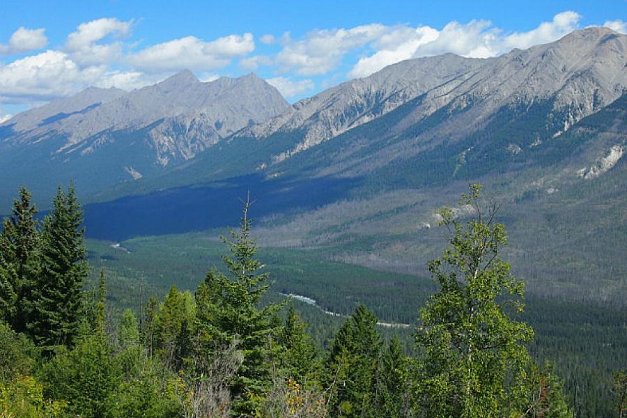 The Kootenay River Valley along Route 93