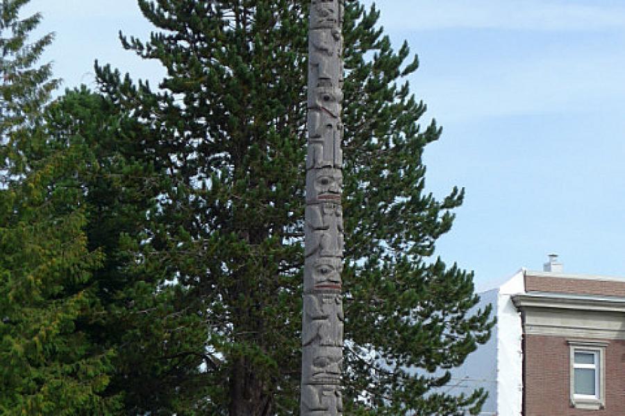 Eagle on decayed pole