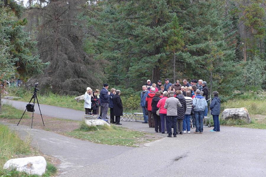 Bus tourists line up for a photo