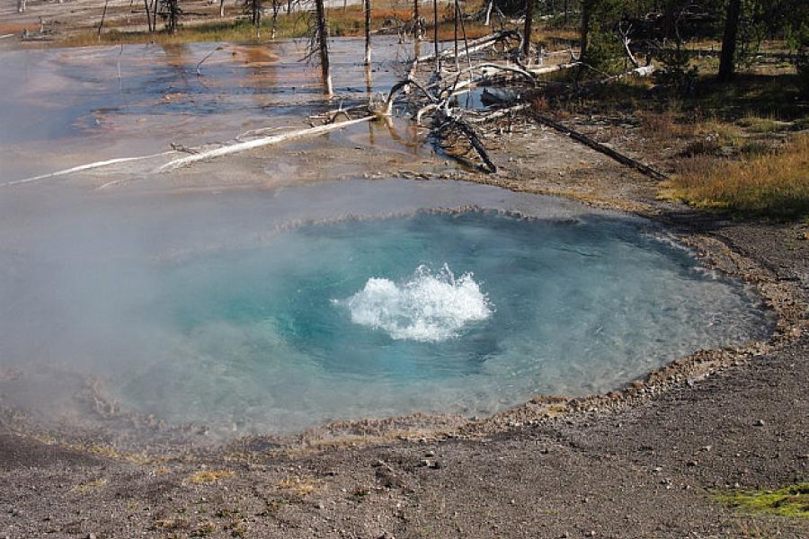 Bubbling springs off firehole lake