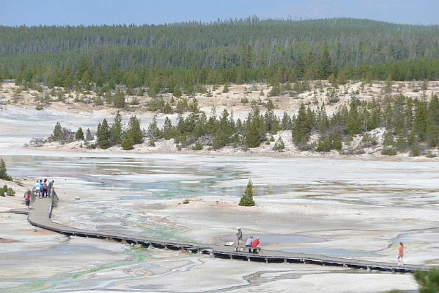 Geyser basin in Yellowstone NP